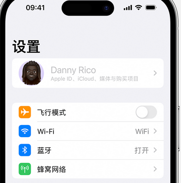 横栏镇appleID维修服务iPhone设置中Apple ID显示为灰色无法使用