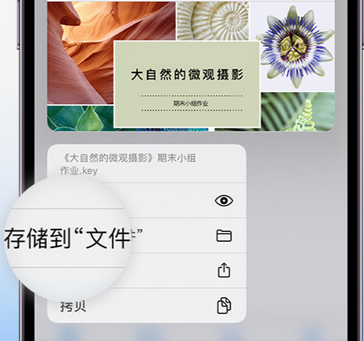 横栏镇apple维修中心分享iPhone文件应用中存储和找到下载文件