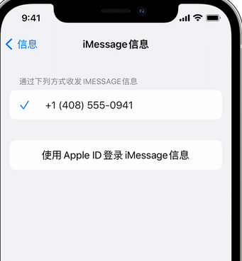 横栏镇apple维修iPhone上无法正常发送iMessage信息 