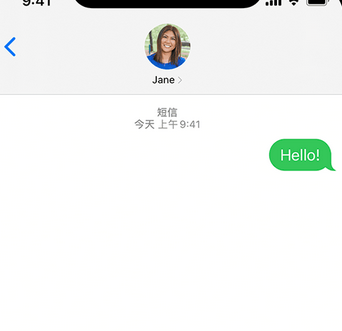 横栏镇apple维修iPhone上无法正常发送iMessage信息