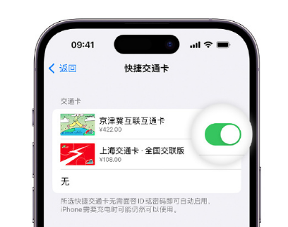 横栏镇apple维修点分享iPhone上更换Apple Pay快捷交通卡手绘卡面 