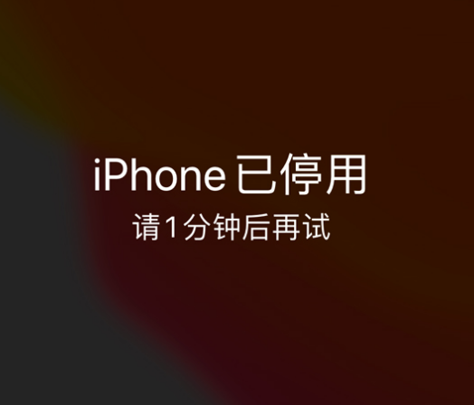 横栏镇苹果手机维修分享:iPhone 显示“不可用”或“已停用”怎么办？还能保留数据吗？ 