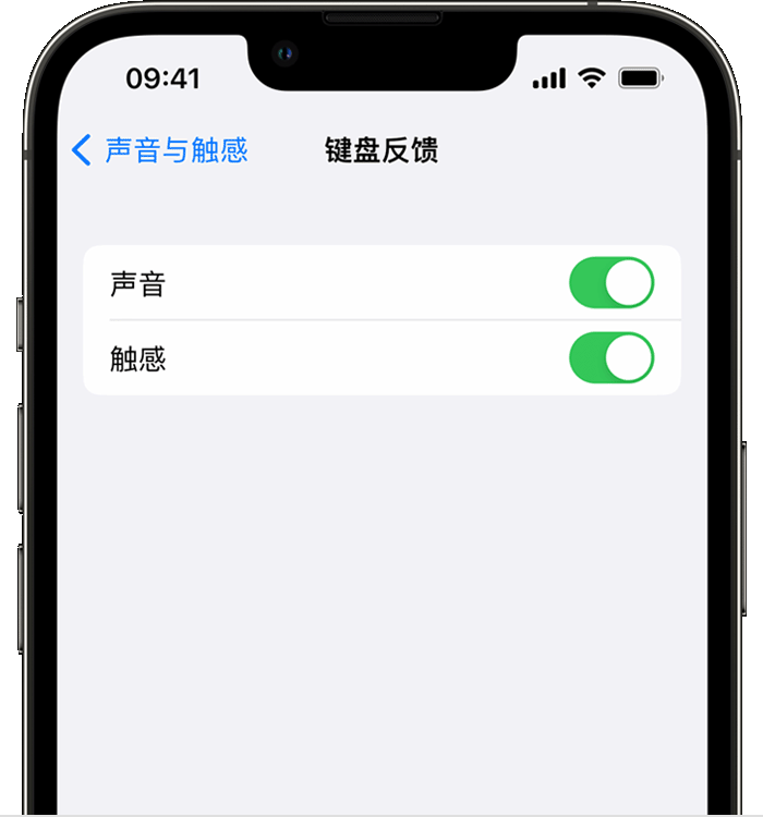 横栏镇苹果14维修店分享如何在 iPhone 14 机型中使用触感键盘 