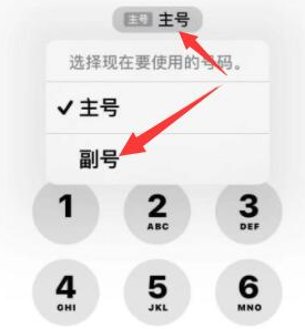 横栏镇苹果14维修店分享iPhone 14 Pro Max使用副卡打电话的方法 