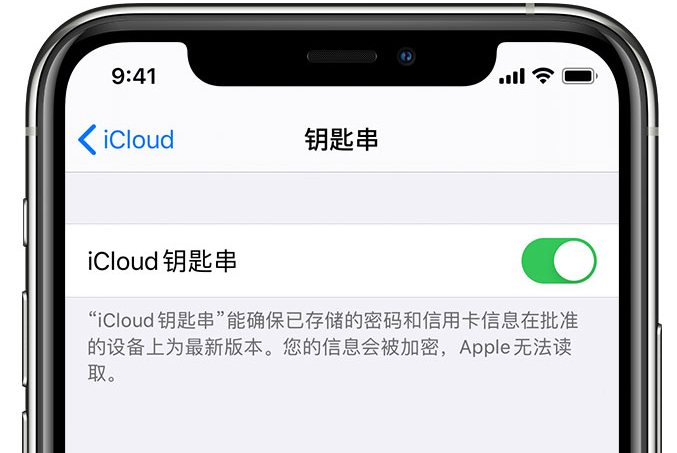 横栏镇苹果手机维修分享在 iPhone 上开启 iCloud 钥匙串之后会储存哪些信息 